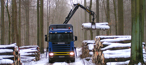 proNARO - Verantwortungsvoller Holzeinkauf aus nachhaltiger Forstwirtschaft 