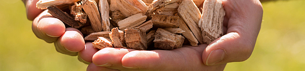 proNARO - Ihr Partner im Holzeinkauf für die Zellstoff- und Papierindustrie aus nachhaltiger Forstwirtschaft. Kontaktieren Sie uns!